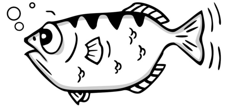 GDB 源码追踪断点